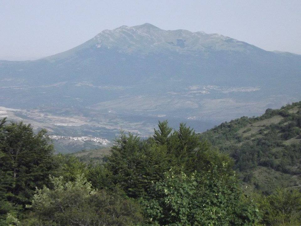 Foto nga Pashtriku i Hasit