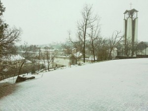 Abetarja e Zymit